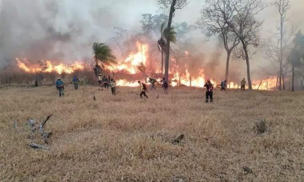 UN ESTUDIO REVELA QUE EL 78% DE LOS FOCOS DE CALOR SE LOCALIZAN EN ÁREAS SIN SUPERVISIÓN EFECTIVA