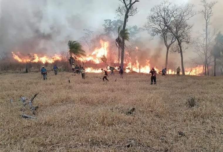 UN ESTUDIO REVELA QUE EL 78% DE LOS FOCOS DE CALOR SE LOCALIZAN EN ÁREAS SIN SUPERVISIÓN EFECTIVA