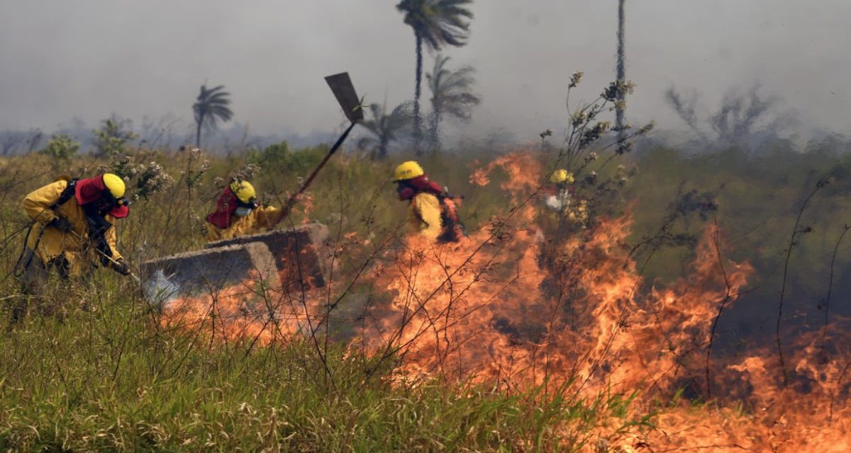 Arce anuncia que Brasil, Chile y Francia apoyarán en la lucha contra los incendios en territorio boliviano