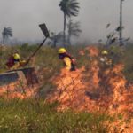 Arce anuncia que Brasil, Chile y Francia apoyarán en la lucha contra los incendios en territorio boliviano