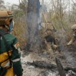 La lucha contra el fuego no cesa: 150 bomberos voluntarios trabajan en Concepción