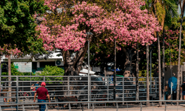 ¿Habrá lluvias o altas temperaturas? Conozca cómo estará el clima en el país en el inicio de la primavera