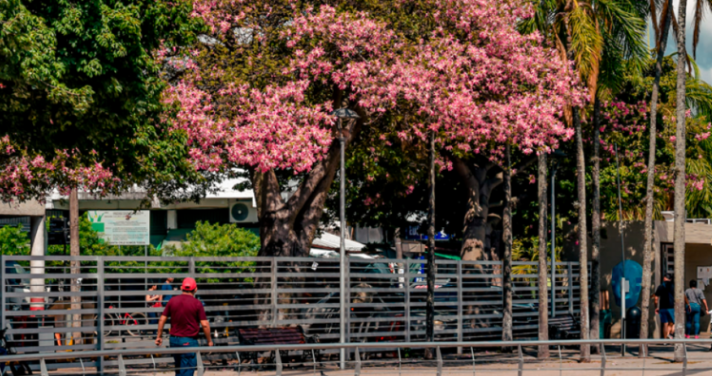 ¿Habrá lluvias o altas temperaturas? Conozca cómo estará el clima en el país en el inicio de la primavera