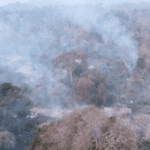 Alistan nuevo bombardeo de nubes en Santa Cruz para estimular lluvias por los incendios