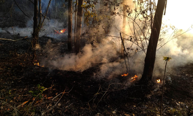 Arce pide a la Asamblea aprobar dos créditos por $us 325 millones para lucha contra incendios