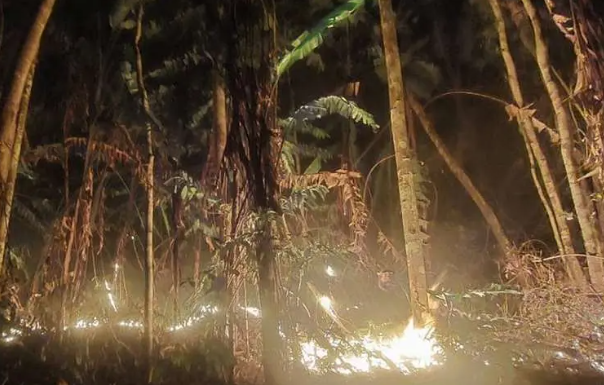 Envían a la cárcel a tres hombres acusados de provocar incendios en el área protegida Bajo Paraguá