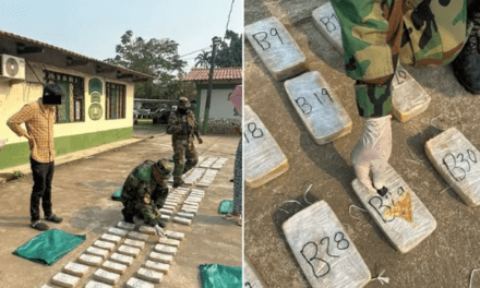 Aprehenden a dos hombres tras ser sorprendidos en una cabaña cuidando 250 paquetes de cocaína