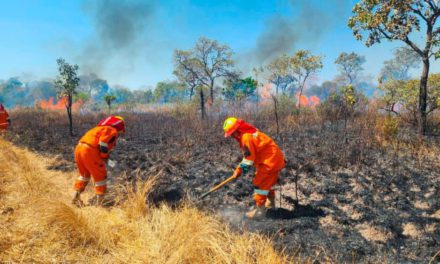 Arce anuncia el arribo de ayuda de Venezuela, Uruguay, Perú para luchar contra los incendios forestales