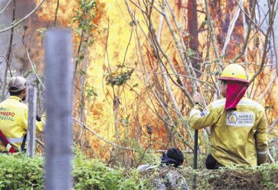 El 72% del fuego está en Santa Cruz y el Gobierno tarda en actualizar datos