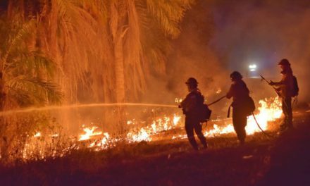 Gobierno dice que el 90% de los incendios en Santa Cruz están “completamente liquidados”