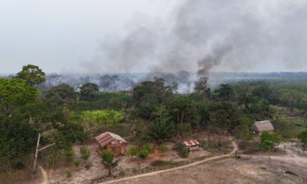 Incendios y falta de dólares asfixian al sector turístico que espera una convocatoria del Gobierno