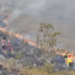 Nuevamente incendian el Madidi y lo atribuyen a la “regionalización” de la pausa ambiental