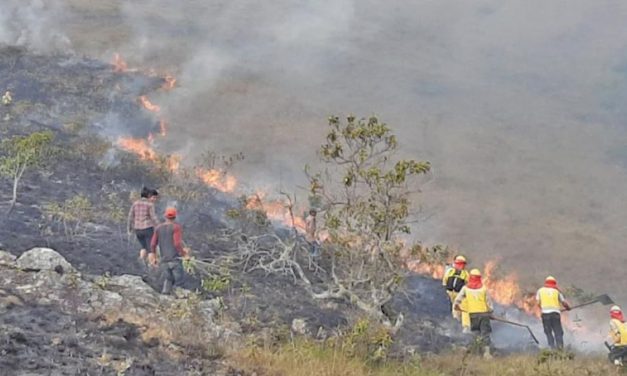 Nuevamente incendian el Madidi y lo atribuyen a la “regionalización” de la pausa ambiental