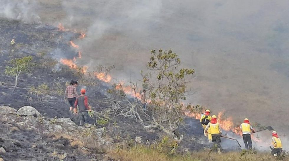 Nuevamente incendian el Madidi y lo atribuyen a la “regionalización” de la pausa ambiental