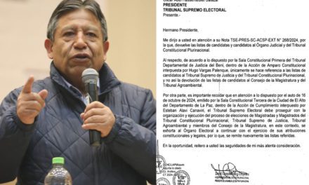 Choquehuanca devuelve las listas de candidatos judiciales al TSE, pide seguir con el proceso electoral