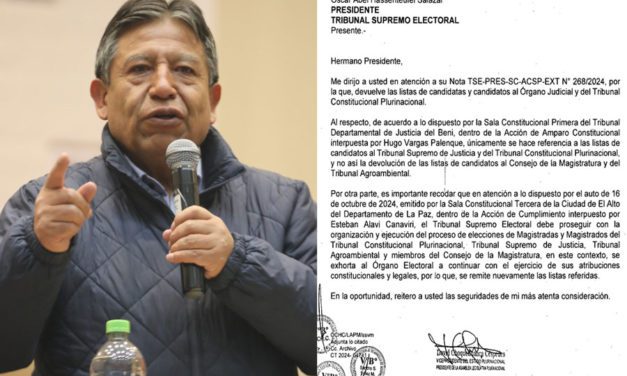 Choquehuanca devuelve las listas de candidatos judiciales al TSE, pide seguir con el proceso electoral