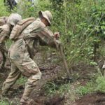 En los Yungas y el Chapare se rebasaron los límites de cultivos