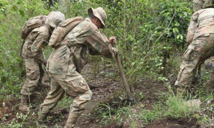 En los Yungas y el Chapare se rebasaron los límites de cultivos