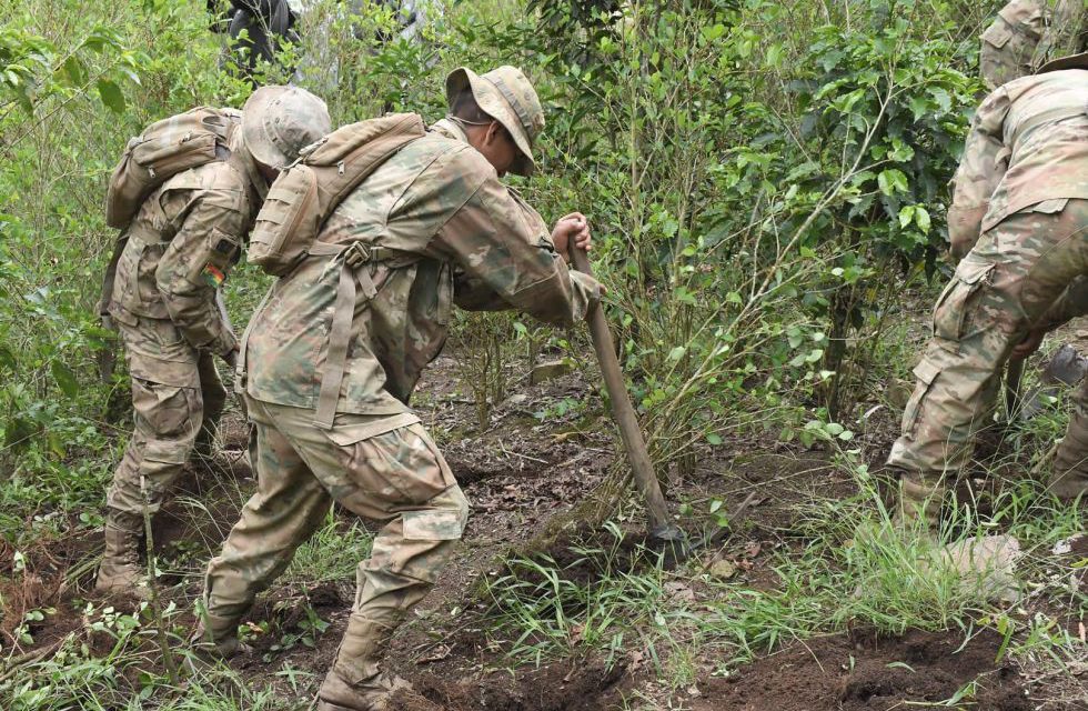 En los Yungas y el Chapare se rebasaron los límites de cultivos