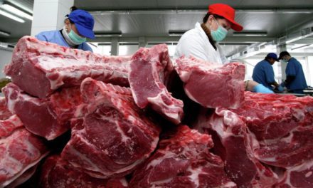 Ganaderos: Se exporta la carne excedente, el 93% de la producción se destina al consumo interno