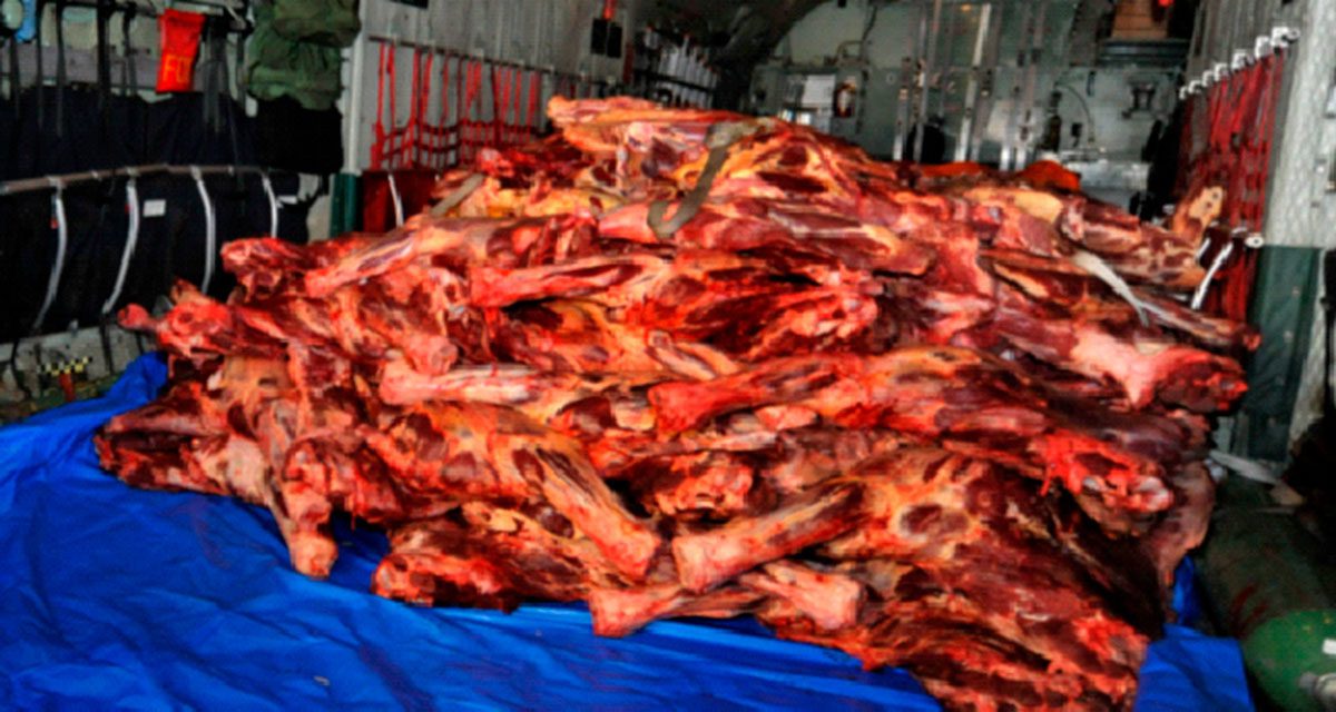 Más de 20 toneladas de carne de res llegaron a La Paz