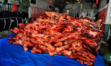 Más de 20 toneladas de carne de res llegaron a La Paz