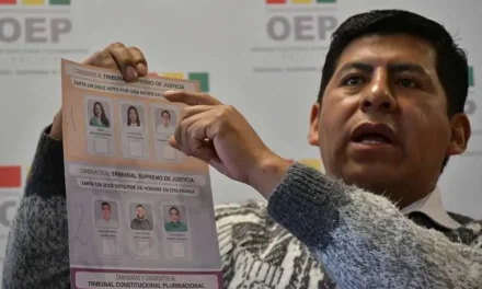 Vocal revela que la CIDH rechazó las medidas cautelares solicitadas por el TSE