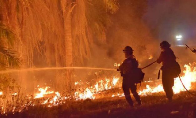 Tras quemas, el país nunca más recuperará lo perdido