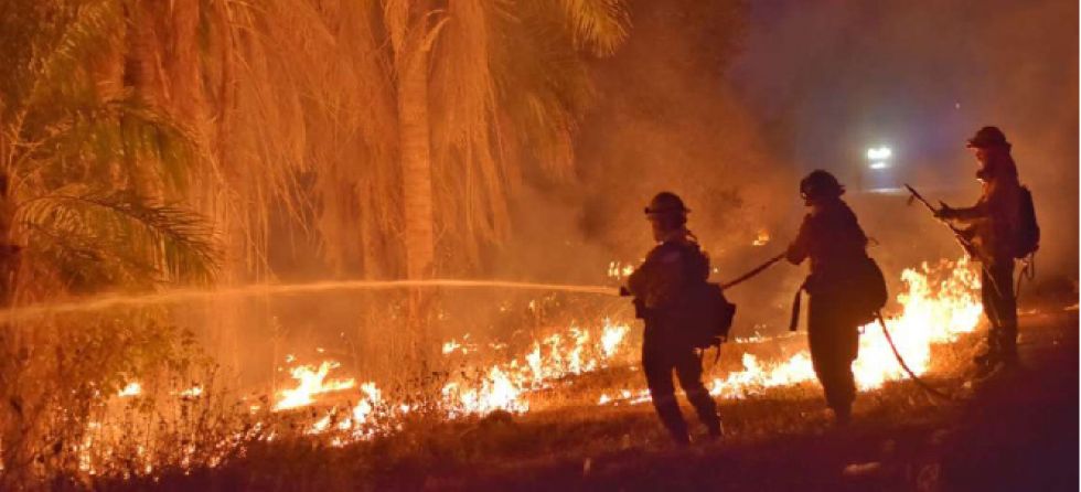 Tras quemas, el país nunca más recuperará lo perdido