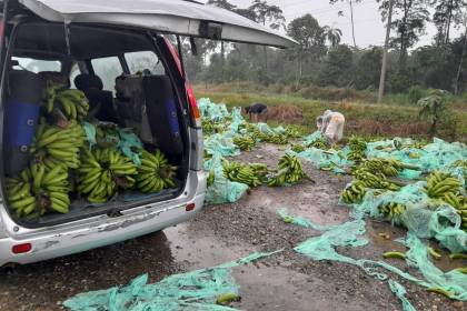 Exportadores de banano pagan hasta Bs 20 por cada litro de diésel