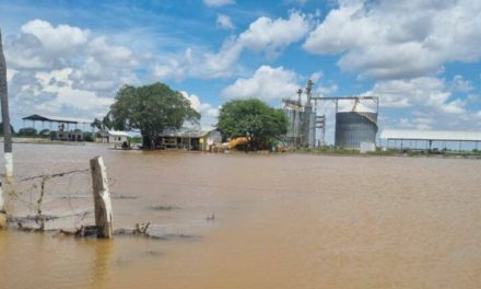 Inundaciones en San Julián afectan a 92 familias y destruyen carretera principal