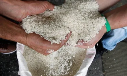 Según productores, la falta de combustible convertirá el plato de arroz con huevo en «un lujo»