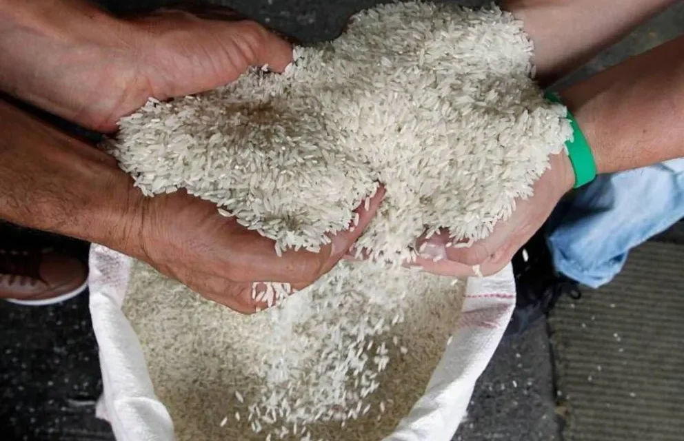 Según productores, la falta de combustible convertirá el plato de arroz con huevo en «un lujo»