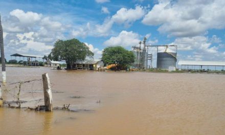 Hay cerca de un centenar de familias afectadas por inundaciones en San Julián y se habilitaron desvíos por la destrucción de la carretera