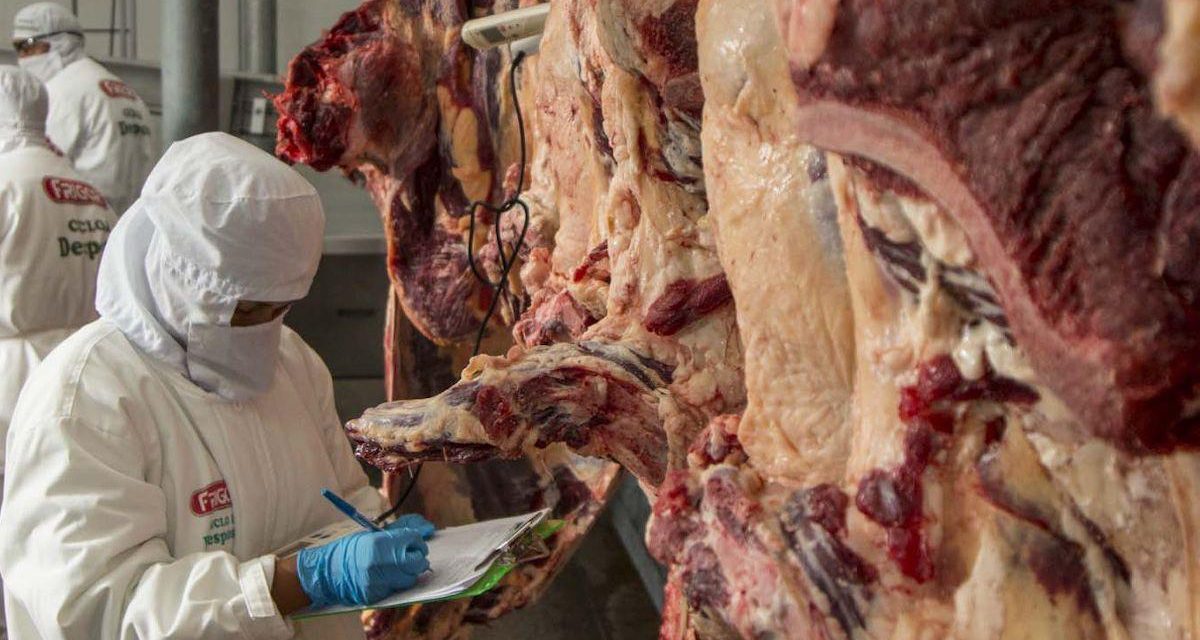 Egipto evalúa importar carne boliviana: inspección en Santa Cruz