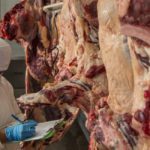 Egipto evalúa importar carne boliviana: inspección en Santa Cruz