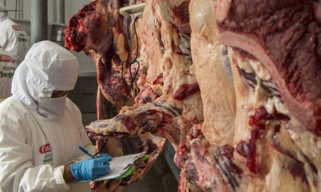 Egipto evalúa importar carne boliviana: inspección en Santa Cruz