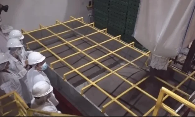 Bolivia firmó un acuerdo comercial para vender chía al mercado de China