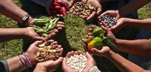 Proyecto binacional busca transformar sistemas alimentarios en Bolivia y Perú