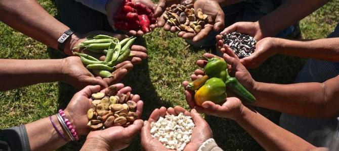 Proyecto binacional busca transformar sistemas alimentarios en Bolivia y Perú