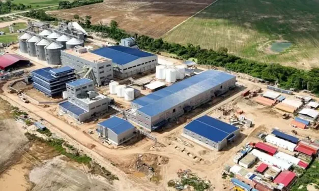 Gobierno inaugurará este jueves en San Julián una planta de transformación de subproductos de soya