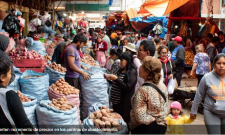 La inflación en Bolivia sigue en ascenso y alcanza el 8,82% al mes de noviembre, según el INE