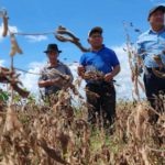 “No es momento para ser agricultor”, afirmó un productor soyero