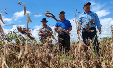 “No es momento para ser agricultor”, afirmó un productor soyero