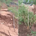 Riada en Luribay: 110 familias afectadas piden ayuda urgente para salvar sus cultivos