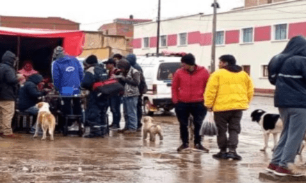 Movilización evista desde Patacamaya hacia La Paz