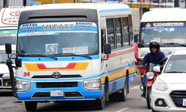 Audiencia de amparo constitucional por reordenamiento del transporte en Santa Cruz