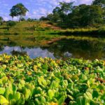 Piden compromiso ambiental: Advierten que las áreas Protegidas están en serio peligro si continúa la incursión descontrolada de actividades ilegales