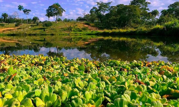 Piden compromiso ambiental: Advierten que las áreas Protegidas están en serio peligro si continúa la incursión descontrolada de actividades ilegales