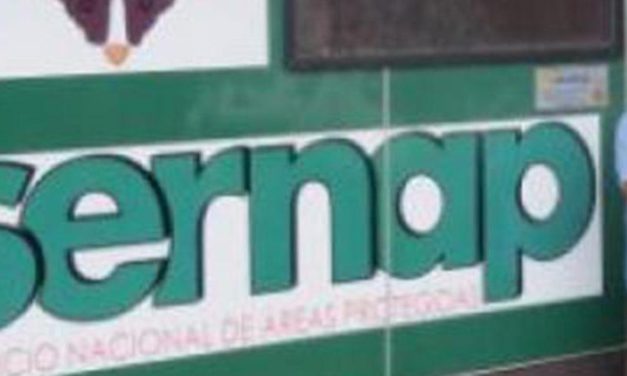 Exigen devolver la institucionalidad al Sernap y auditar gestión del Ministerio de Medio Ambiente